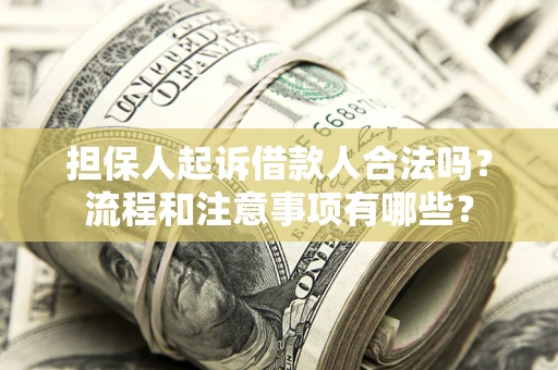 武汉担保人起诉借款人合法吗？流程和注意事项有哪些？