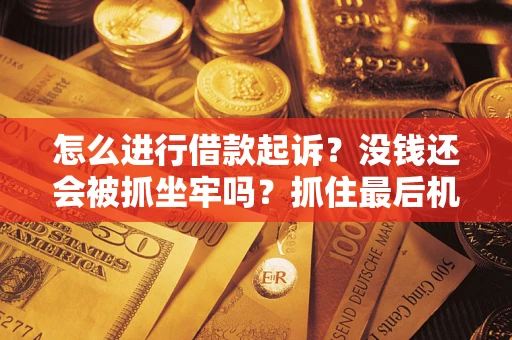 武汉怎么进行借款起诉？没钱还会被抓坐牢吗？抓住最后机会！