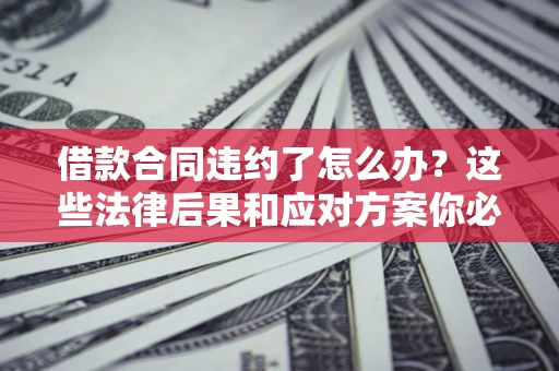 武汉借款合同违约了怎么办？这些法律后果和应对方案你必须知道