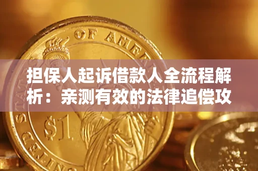武汉担保人起诉借款人全流程解析：亲测有效的法律追偿攻略