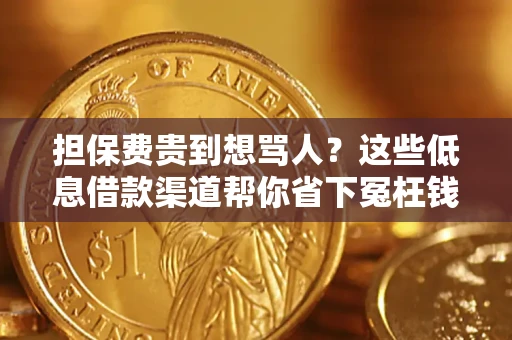 武汉担保费贵到想骂人？这些低息借款渠道帮你省下冤枉钱