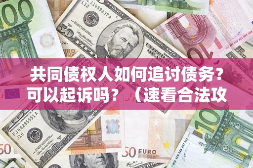 武汉共同债权人如何追讨债务？可以起诉吗？（速看合法攻略）