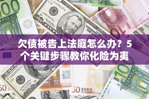 武汉欠债被告上法庭怎么办？5个关键步骤教你化险为夷
